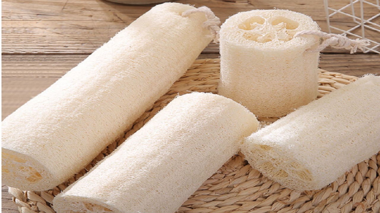 Discover the Versatility of the Loofah Exfoliating Luffa Bath Sponge